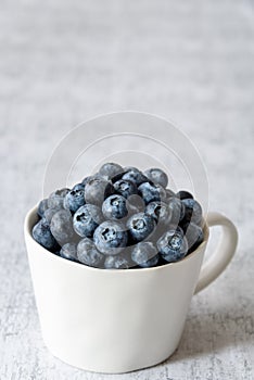 Fresh blueberries in a white ceramic cup on a light gray crackle background