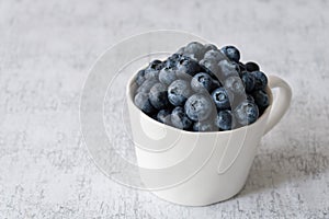 Fresh blueberries in a white ceramic cup on a light gray crackle background