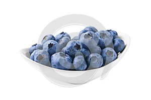 Fresh blueberries in a white round bowl isolated on white background