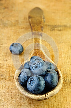 Fresh Blueberries in Wooden Spoon