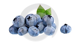 Fresh blueberry with green leaves, isolated on white background. Bilberry or whortleberry berries. Collection. Clipping