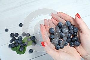 Fresh blueberry on hands. Female hand holding blueberries