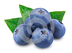 Fresh blueberry isolated on white background closeup with clipping path and full depth of field