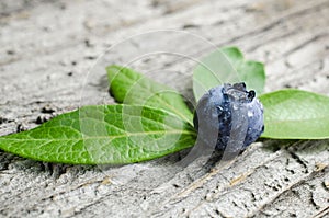 Fresh blueberry on leaf