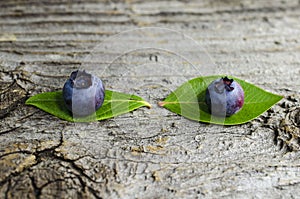 Fresh blueberry on leaf