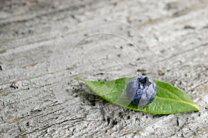 Fresh blueberry on leaf