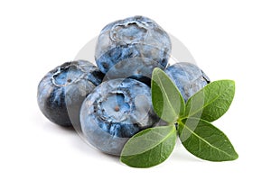 Fresh blueberry with leaf isolated on white background