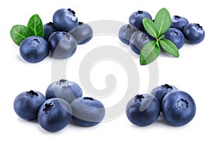 Fresh blueberry with leaves isolated on white background closeup. Set or collection