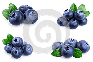 Fresh blueberry with leaves isolated on white background closeup. Set or collection