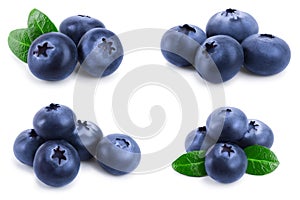 Fresh blueberry with leaves isolated on white background closeup. Set or collection