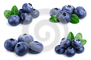 Fresh blueberry with leaves isolated on white background closeup. Set or collection