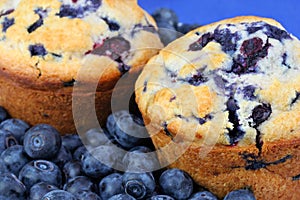 Fresh blueberry muffins and blueberrie