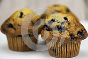 Fresh Blueberry Muffins photo