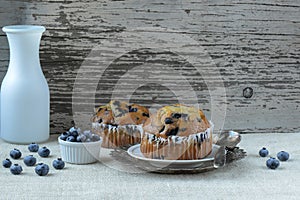 Fresh Blueberry Muffins on Rustic Burlap