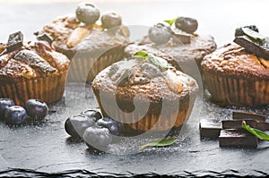 Fresh, blueberry muffins on a stone background with sugar and fruits. Food background. Concept of pastry.