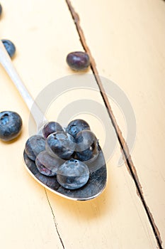 Fresh blueberry on silver spoon