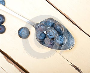 Fresh blueberry on silver spoon