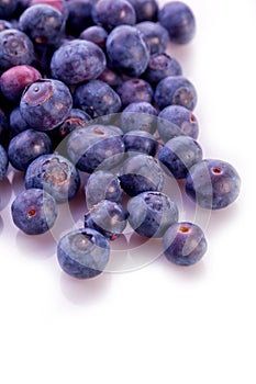 Fresh blueberry summer fruit