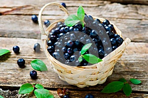 Fresh blueberry in to the basket