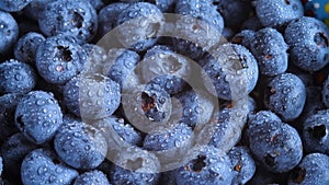 Fresh blueberry with water droplets