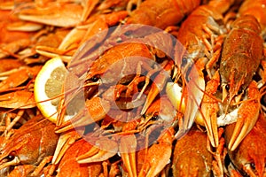 Fresh boiled crawfish