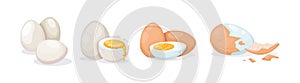 Fresh and boiled eggs. Chicken broken eggs with cracked eggshell and yolks, in cardboard box, egg half with yolk, boiled and fried