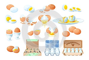 Fresh and boiled eggs. Cooking ingredient. Organic farm product.