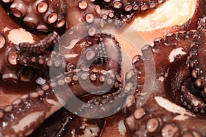 Fresh boiled Octopus ready for eat
