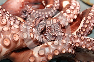 Fresh boiled Octopus ready to eat
