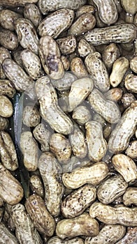 Fresh boiled peanuts from garden