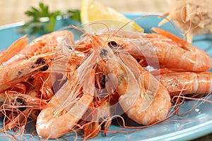 Fresh boiled prawns