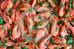 Fresh boiled prawns with coriander. A delicious dish of seafood