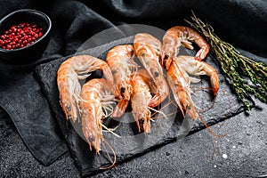 Fresh boiled Prawns, shrimps on a stone Board. Black background. Top view