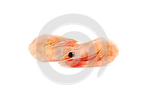 Fresh boiled shrimps