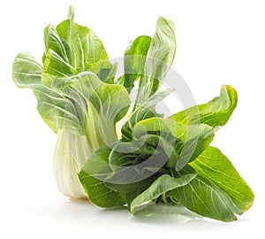 Fresh bok choy isolated on white