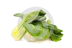 Fresh bok choy lettuce on white background