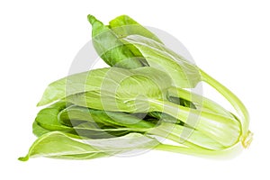 Fresh bok choy pak choi Chinese cabbage isolated