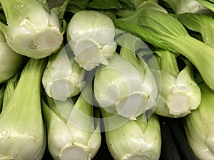 Fresh bok choy vegetable on display in the vegetable section of a grocery store