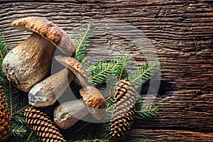 Fresh boletus edulis mushrooms with spruce bunch and cones on rustic woden table