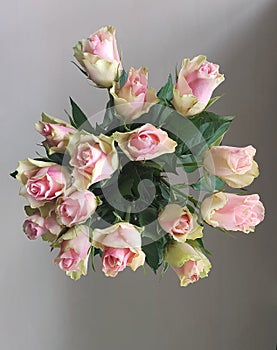 Fresh bouque of pink roses in natural light background