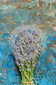 Fresh bouquet of fragrant lavender on a turquoise blue background. Lavender flowers