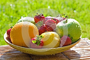 Fresh Bowl of Mixed Fruit