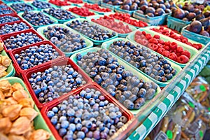 Fresh boxes of assorted berries on display at the farmers market