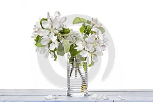 Fresh branch of blooming quince with red flowers in transparent glass vase isolated on table on white background