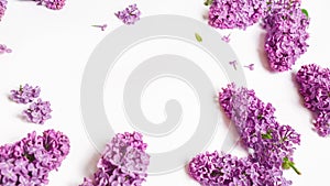 Fresh branches of purple lilac blossoms on white background. Mothers day. Flat lay. Copy space