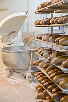 Fresh Bread at a Bakery