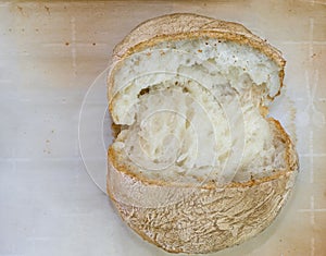 Fresh bread bun on the parchment paper