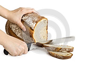 Fresh bread isolated on white background