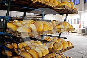 Fresh bread on a shelf in a bakery