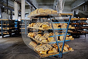 Fresh bread on a shelf in a bakery